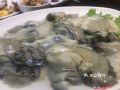 沈陽美食探店 | 羊大爺涮肉（渾南店）精品鮮羊肉 口味與口碑深度解析