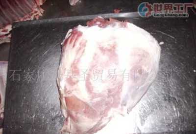 石家莊圣基圣貿易 專注高品質羊肉，打造餐桌信賴之選