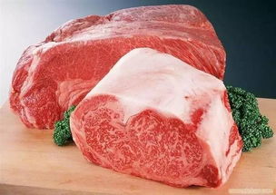 別再賠了！農業部專家深度解析 羊肉產業未來前景與突圍之路